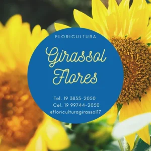 Floricultura Girassol Flores